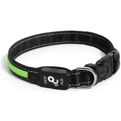 Coleira Com Luz Led Cor Verde Tamanho Pequeno Para Cães