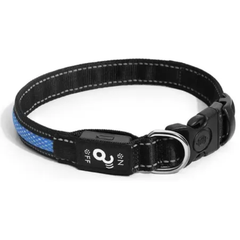 Coleira Com Luz Led Cor Azul Tamanho Pequeno Para Cães