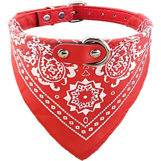 Coleira Com Bandana Para Cães E Gatos Tamanho Médio