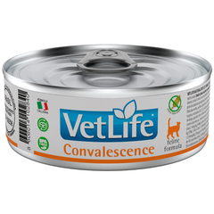 Ração Úmida Para Gatos Vetlife Convalescence Lata 85gr