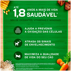 Ração Cão Filhote Raças Pequenas Dog Chow Sabor Carne,frango E Arroz 15kg