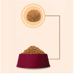 Ração Granplus Sabor Salmão E Arroz Para Gatos Adultos Castrados 3kg