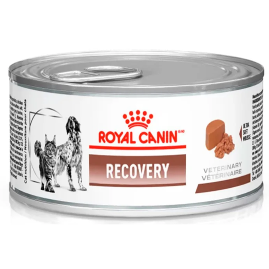 Ração Úmida Royal Canin Veterinary Lata Recovery Para Cães E Gatos Em Recuperação 195gr