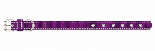 Coleira De Nylon 20 Mm Para Cães Médio Porte Nº 6 – Cores Variadas