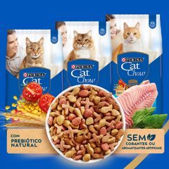 Ração Cat Chow Para Gatos Filhotes Sabor Frango E Leite 10,1 Kg