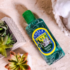 Desinfetante Concentrado Coala Bambu 120ml