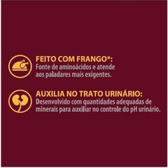 Ração Úmida Granplus Gourmet Sachê Para Gatos Adultos Trato Urinário Sabor Frango 85gr