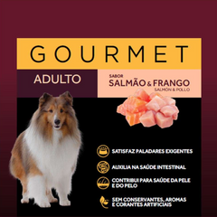 Ração Úmida Granplus Gourmet Sachê Para Cães Adultos Sabor Salmão E Frango 100gr