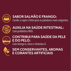 Ração Úmida Granplus Gourmet Sachê Para Cães Adultos Sabor Salmão E Frango 100gr