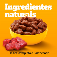 Ração Úmida Pedigree Sachê Promocional Leve 18 Pague 15 Sabor Carne Ao Molho Para Cães Adultos Raças Pequenas 100gr