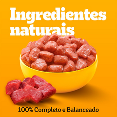 Ração Úmida Pedigree Sachê Sabor Cordeiro Ao Molho Para Cães Adultos De Raças Pequenas 100gr