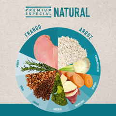 Ração Quatree Life Para Cães Adultos De Porte Pequeno Sabor Frango E Arroz 10,1kg