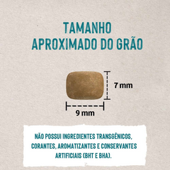 Ração Quatree Life Para Cães Adultos De Porte Pequeno Sabor Frango E Arroz 10,1kg