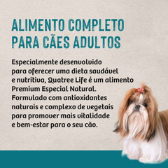Ração Quatree Life Para Cães Adultos De Porte Pequeno Sabor Frango E Arroz 10,1kg