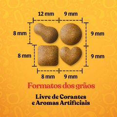 Ração Quatree Gourmet Para Cães Adultos Raças Pequenas Sabor Carne, Frango E Peixe 10 Kg