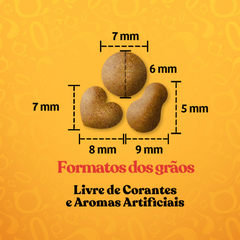 Ração Quatree Gourmet Filhote 10,1kg