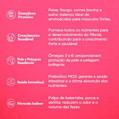 Ração Quatree Gourmet Para Gatos Filhotes Sabor Carne E Leite 10,1 Kg