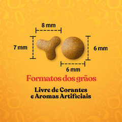 Ração Quatree Gourmet Para Gatos Filhotes Sabor Carne E Leite 10,1 Kg