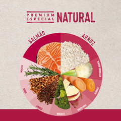 Ração Quatree Life Para Gatos Adultos Sabor Salmão E Arroz 10,1kg