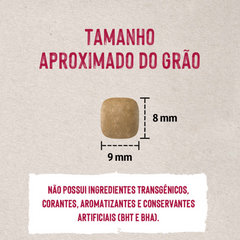 Ração Quatree Life Para Gatos Adultos Sabor Salmão E Arroz 10,1kg