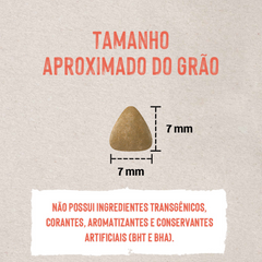 Ração Quatree Life Para Gatos Castrados Sabor Salmão E Arroz 10,1kg