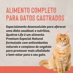 Ração Quatree Life Para Gatos Castrados Sabor Salmão E Arroz 10,1kg
