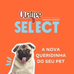 Ração Quatree Select Para Cães Adultos De Porte Pequeno Sabor Frango E Arroz 15kg