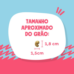 Ração Quatree Select Para Cães Adultos De Porte Médio E Grande Sabor Frango E Arroz 15kg