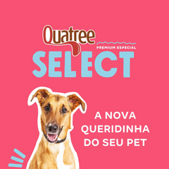 Ração Quatree Select Para Cães Adultos De Porte Médio E Grande Sabor Frango E Arroz 15kg