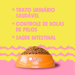Ração Quatree Select Para Gatos Adultos Sabor Salmão E Arroz 10,1kg