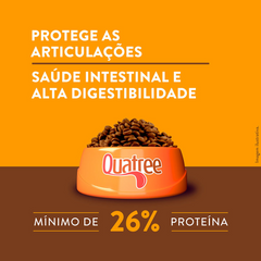 Ração Quatree Supreme Para Cães Adultos De Porte Médio E Grande Sabor Frango E Batata Doce 15kg