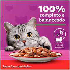 Ração Úmida Whiskas Sachê Promocional Leve 20 Pague 16 Sabor Carne Ao Molho Para Gatos Adultos 85gr